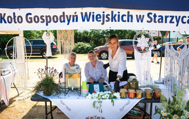 Festiwal Kultury i Sportu w Starej Dąbrowie 12
