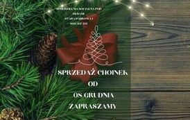 sprzedaz choinek