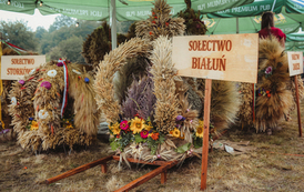 2208 Dożynki 2022 Krzywnica (album) 096 [4000]