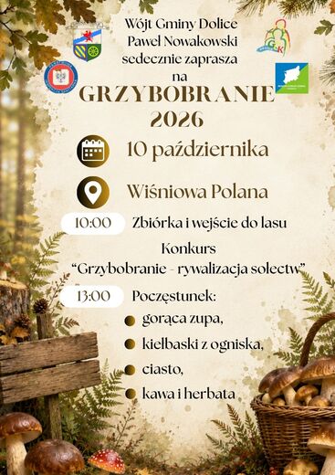 Grzybobranie w gminie Dolice