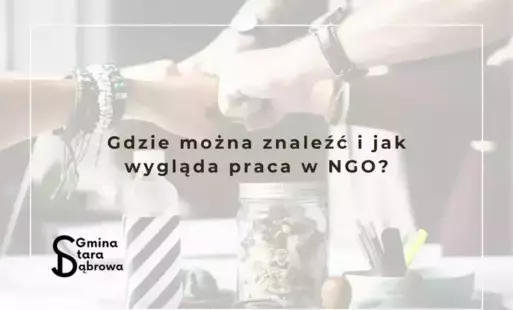Zdjęcie artykułu z dnia 14-08-2025