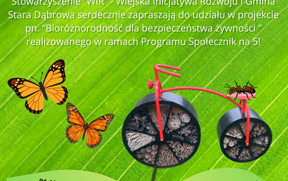 Zdjęcie do Warsztaty z rozsadzania roślin