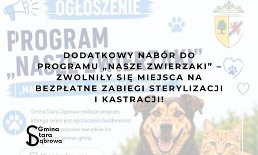 Zdjęcie do Dodatkowy nab&oacute;r do programu &bdquo;Nasze zwierzaki&rdquo; &ndash; zwolniły się miejsca na bezpłatne zabiegi sterylizacji i kastracji!