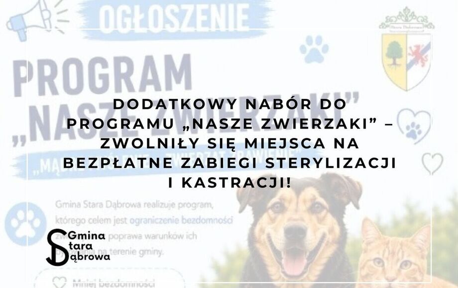 Dodatkowy nabór na bezpłatną sterylizację i kastrację zwierząt w Starej Dąbrowie