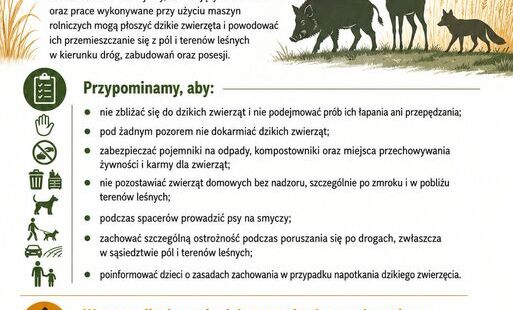 Zdjęcie do Komunikat w sprawie zachowania w przypadku napotkania dzikiego zwierzęcia