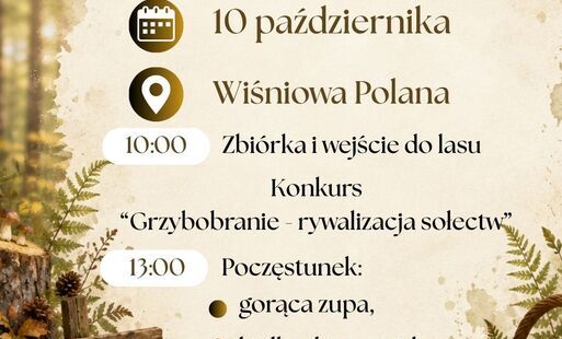Zdjęcie do Grzybobranie w gminie Dolice