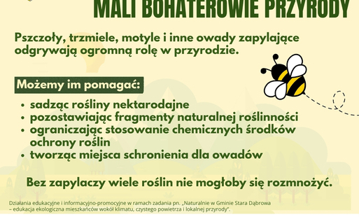 Zdjęcie do Zapylacze &ndash; mali bohaterowie przyrody