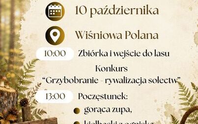 Zdjęcie do Grzybobranie w gminie Dolice